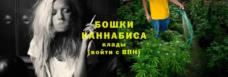 Марихуана White Widow  Аша 